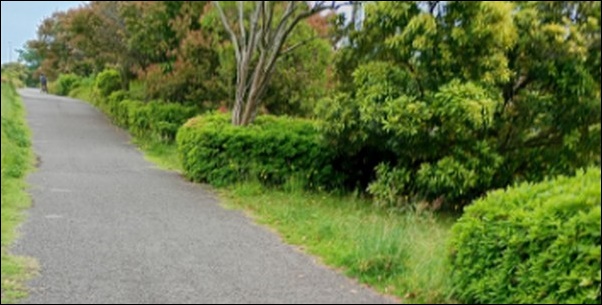 近所の散歩道