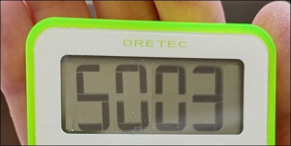5,003歩