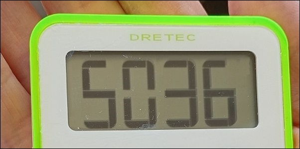 5036歩