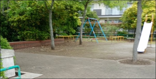 近所の公園のウォーキング