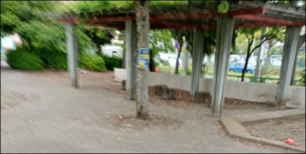 近所の公園のウォーキング