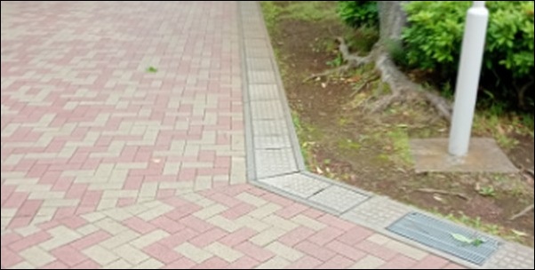 ウォーキング