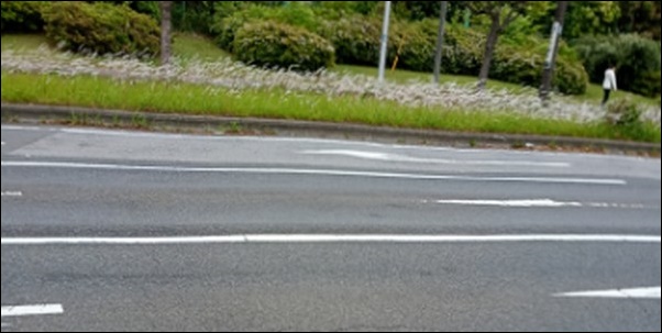 近所の道路沿いの歩道