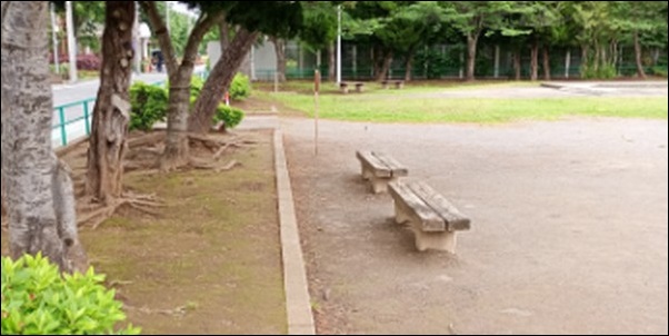 公園ウォーキング