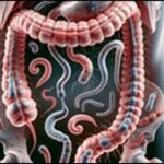 【カズレーザーと学ぶ】腸内環境に合った食事及び腸内細菌を公開！