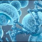 【世界一受けたい授業】痩せ細胞を公開!カロリー消費量が特徴的