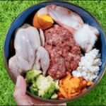 ローフードダイエット体験談！気付き12選と食べて痩せるのかを検証