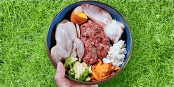 ローフードダイエット体験談！気付き12選と食べて痩せるのかを検証