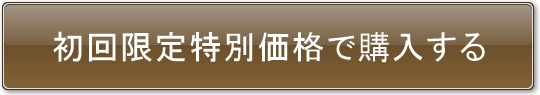 初回限定特別価格で購入する